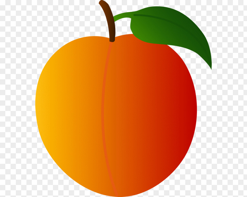 Peach Clip Art PNG