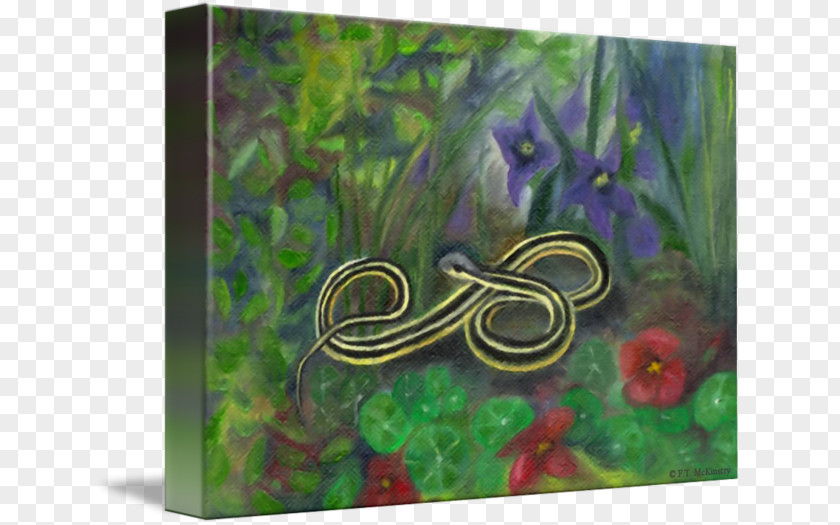 Snake Ribbon Fauna Fish Silk PNG