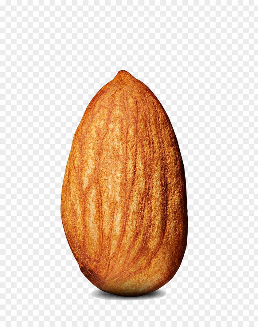 Sweet Almond Clip Art PNG