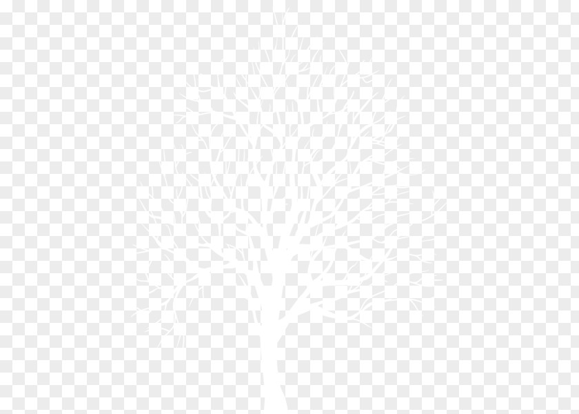 Tree Clipart Twig Black And White Clip Art Silhouette PNG