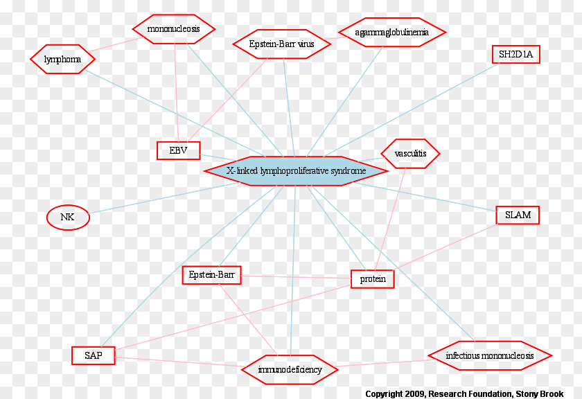 X-linked Recessive Inheritance Dominant X Chromosome Egg Cell Dominance PNG