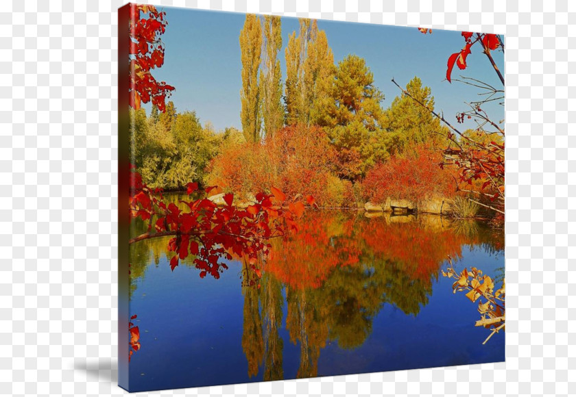 Autumn Tumblr Photography Nature Reserve Maple Leaf Gallery Wrap PNG