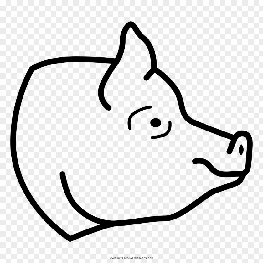Cerdo Domestic Pig Coloring Book Drawing Line Art Clip PNG