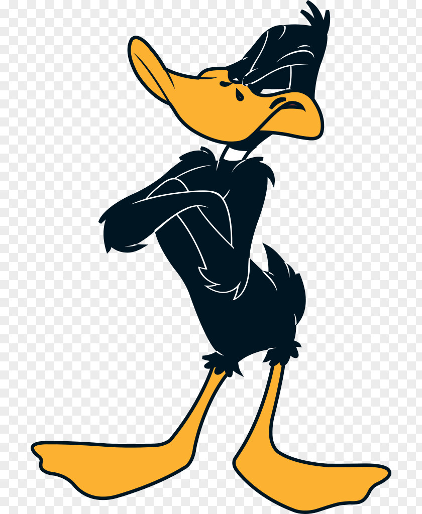 Duck Images Free Daffy Bugs Bunny Porky Pig Tweety Melissa PNG