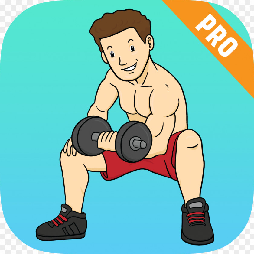Dumbbell Biceps Curl Weight Training Muscle Clip Art PNG
