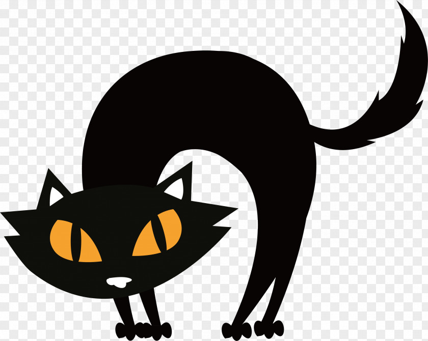 Fried Black Cat Halloween PNG