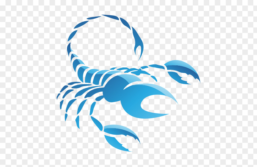 Scorpio Zodiac Astrological Sign Astrology PNG