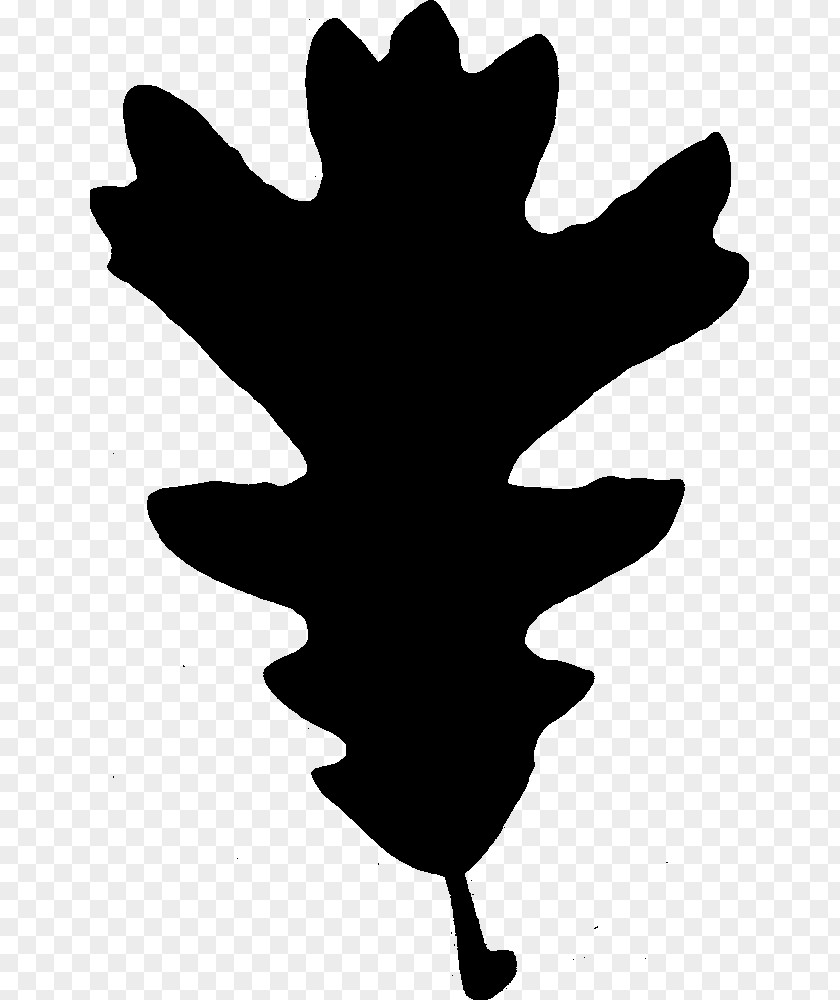 Silhouette Stencil Tree PNG