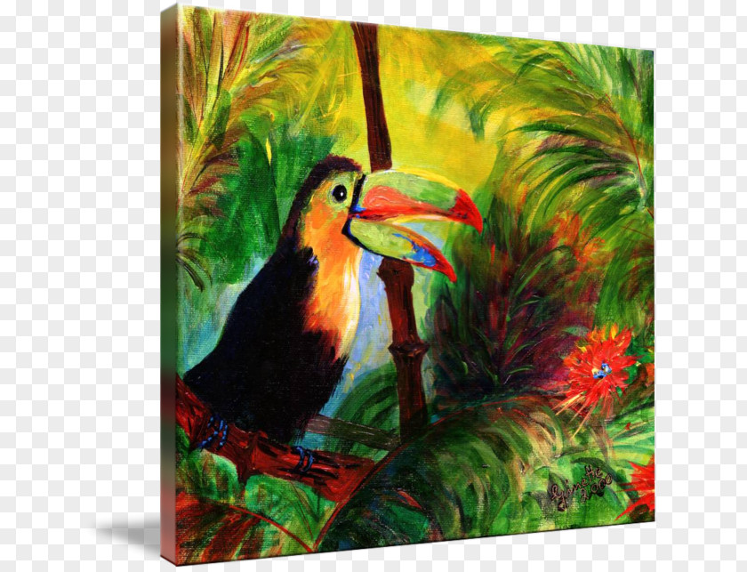 Watercolor Toucan Painting Art Bird PNG