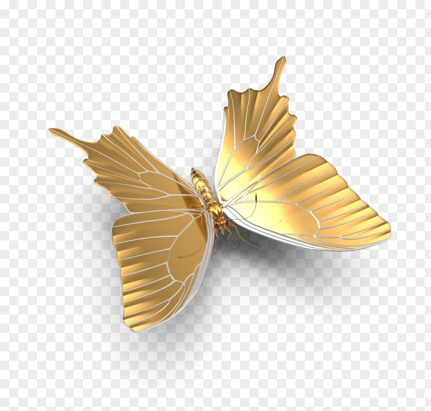 Butterfly Gold PNG