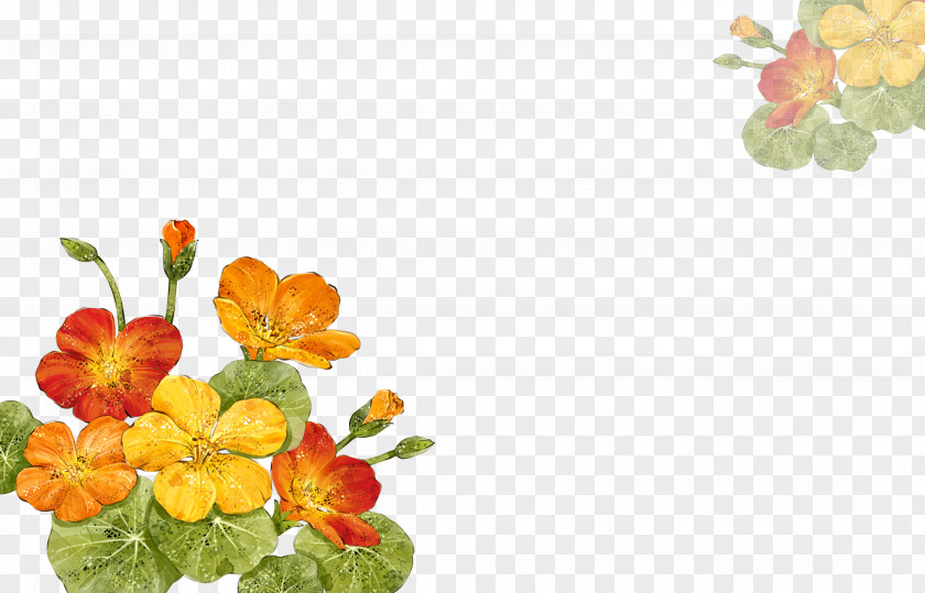Cartoon Plant Flower Download Computer File PNG