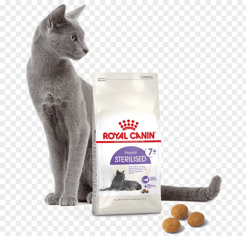 Cat Food Dog Royal Canin Pet Shop PNG