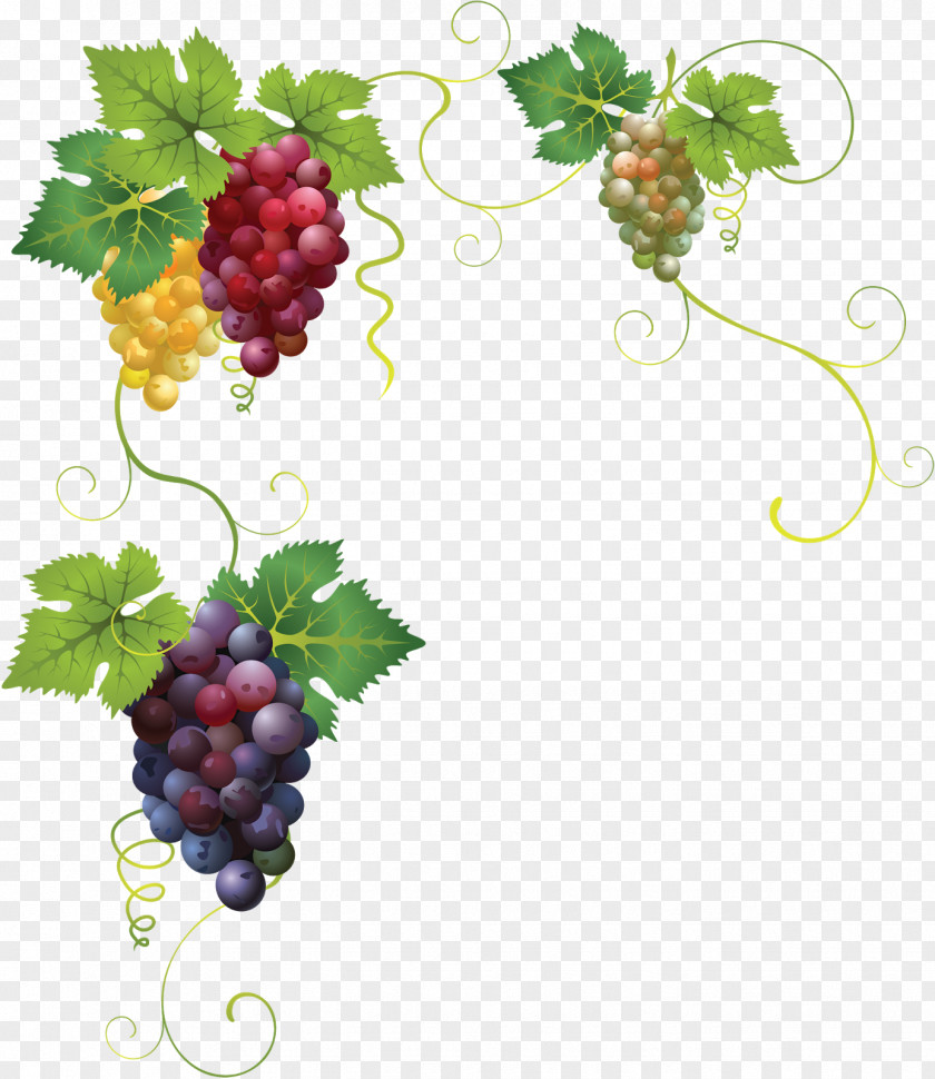 Grapes Common Grape Vine Juice Leaves PNG