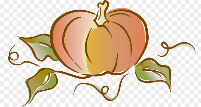 Pumpkin Cucurbita Pepo Vegetable Clip Art PNG