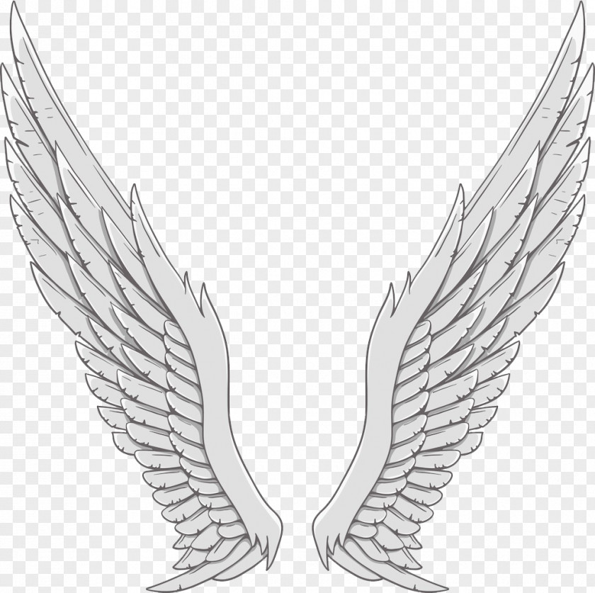 Silver Angel Wings Wing White PNG