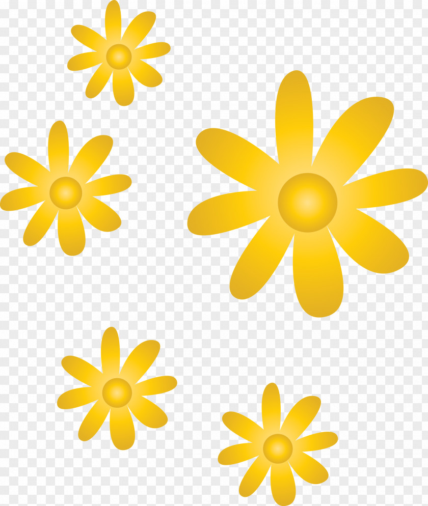 Yellow Petal Flower Plant Wildflower PNG