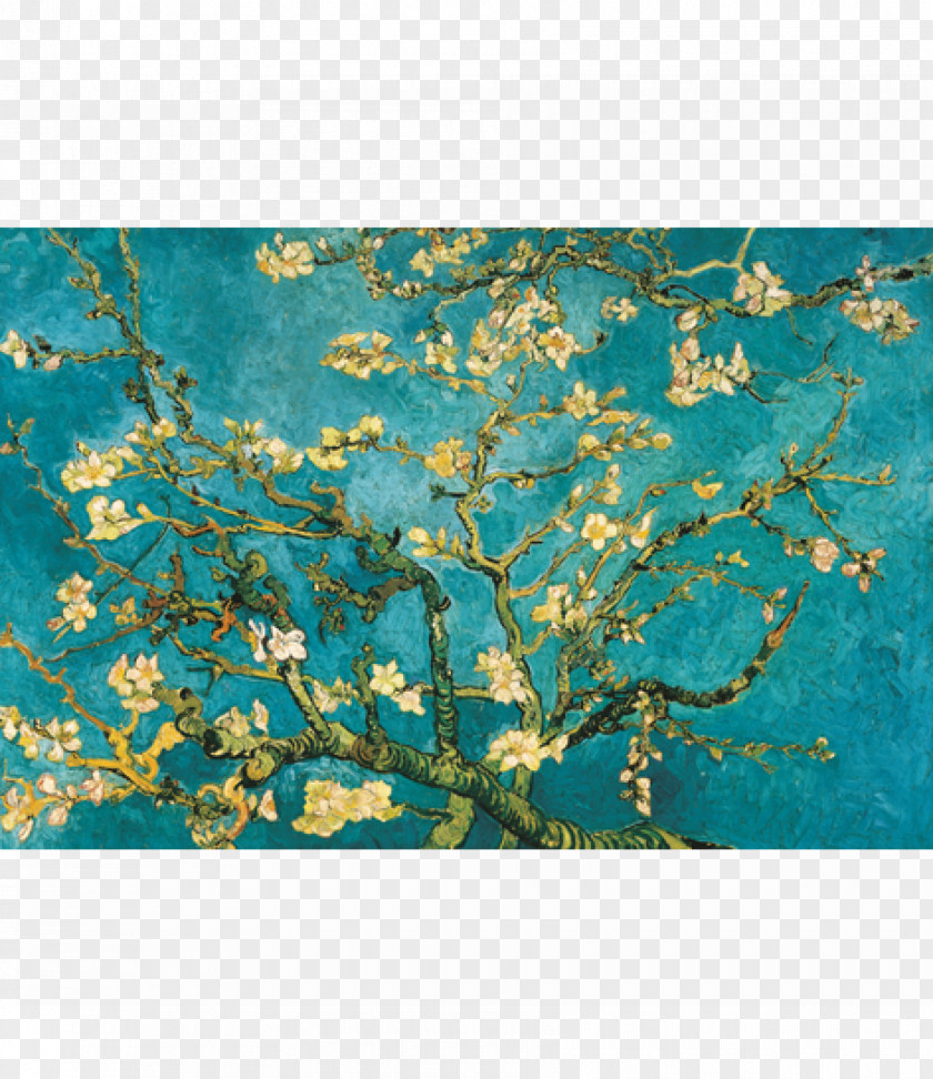 Almond Blossoms Van Gogh Museum Saint-Rémy-de-Provence Blossoming Branch In A Glass PNG