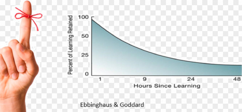 Arc Curve Forgetting Flashcard Information Memrise PNG