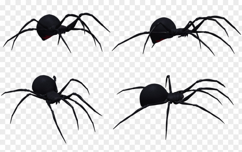 Black Widow Spider Art Redback Southern Clip PNG