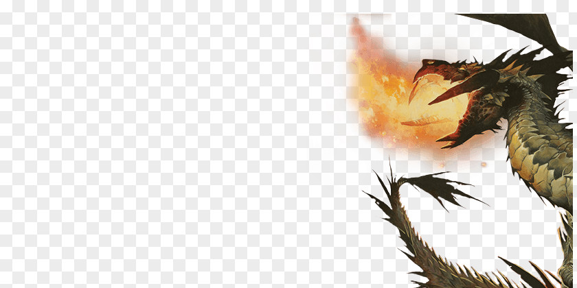 Dragon Duel Decks: Knights Vs. Dragons Fauna Beak Desktop Wallpaper PNG