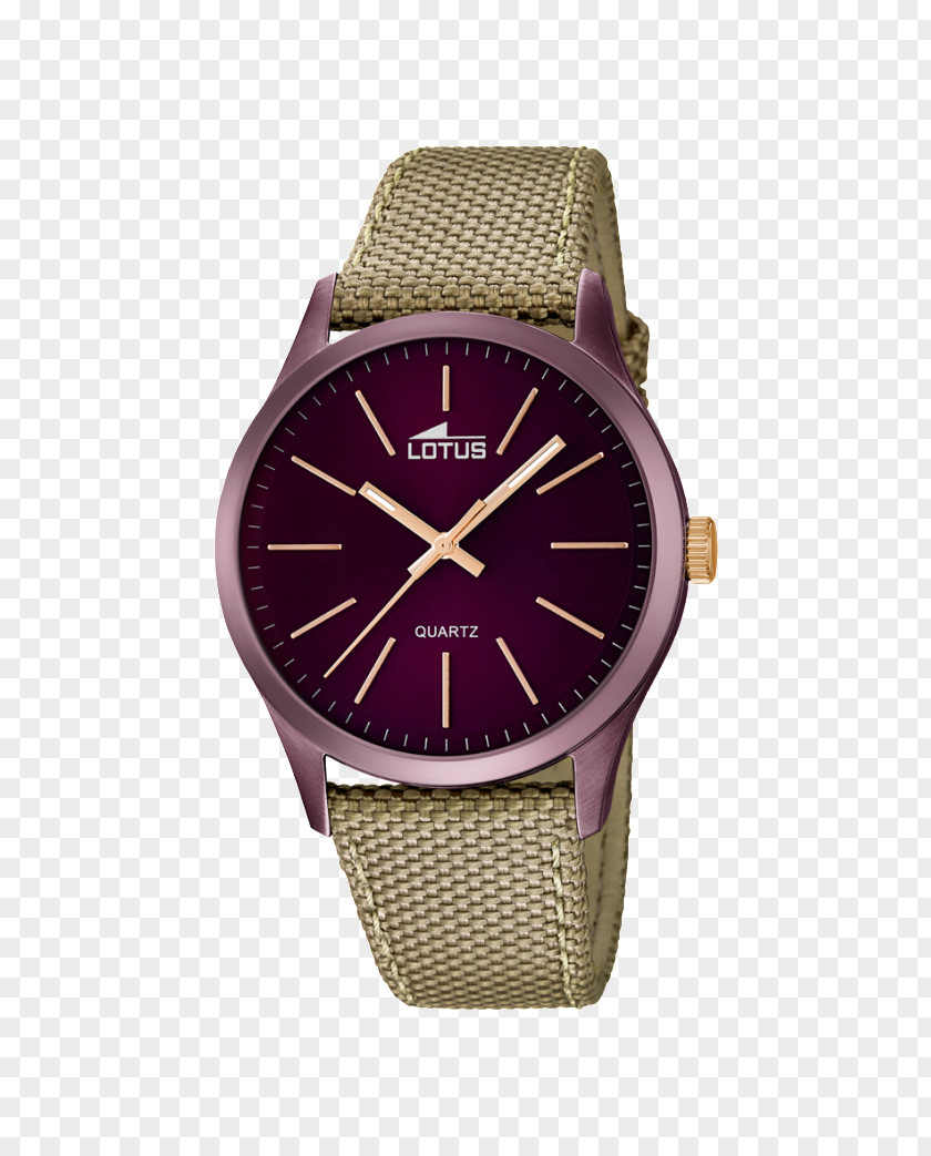 French Fashion Trends 2017 Men's Watch Festina Quartz Clock Bracelet PNG