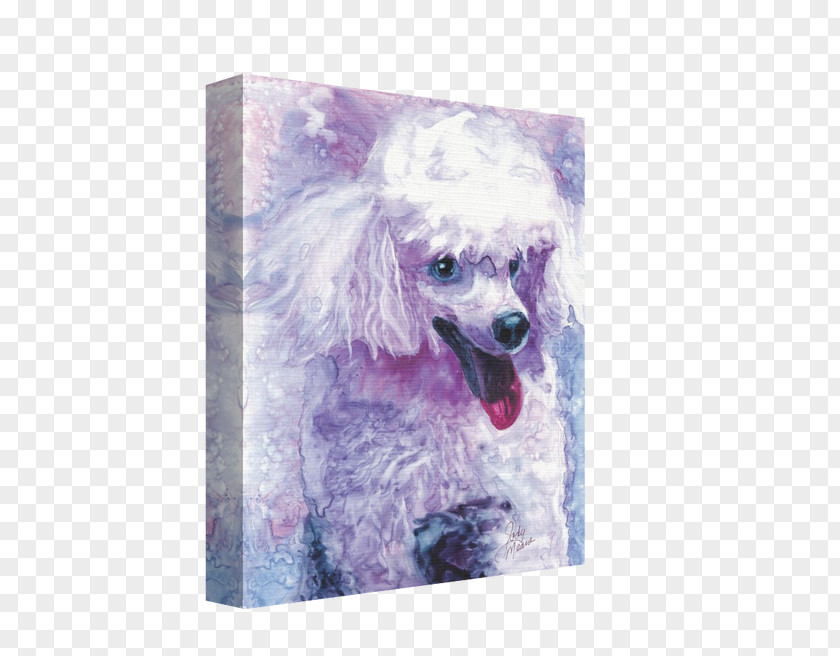 Ginger Watercolor Miniature Poodle Dog Breed Snout Purple PNG