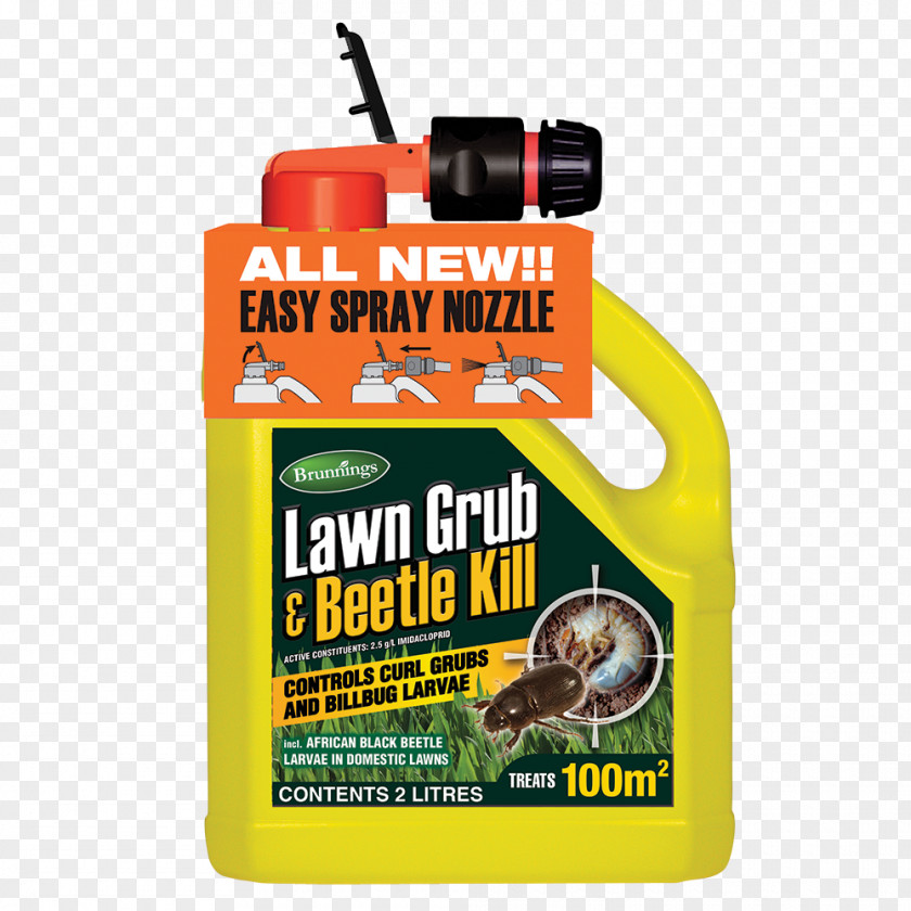 Lawn Run Beetle Gardening Weed PNG