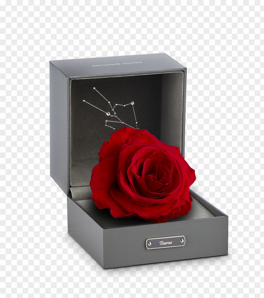 Rose Gift Beach Aries Valentines Day Box PNG