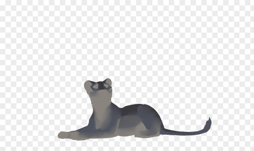Cat Dog Puma Canidae Tail PNG