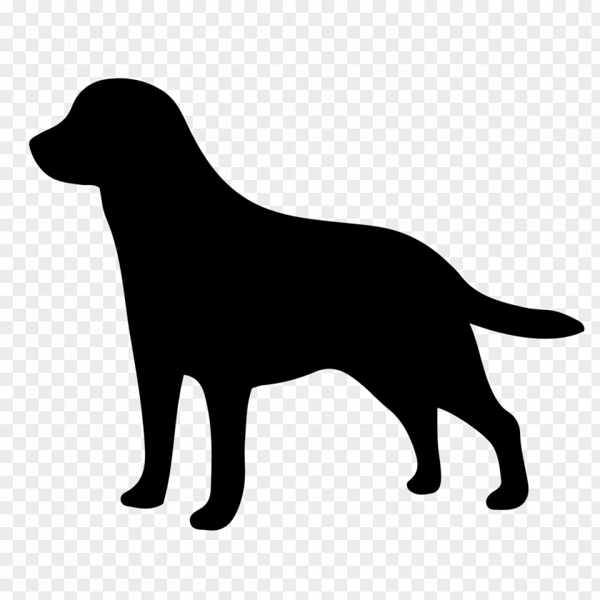 Flatcoated Retriever Labrador Dog Sporting Group Flat-coated PNG