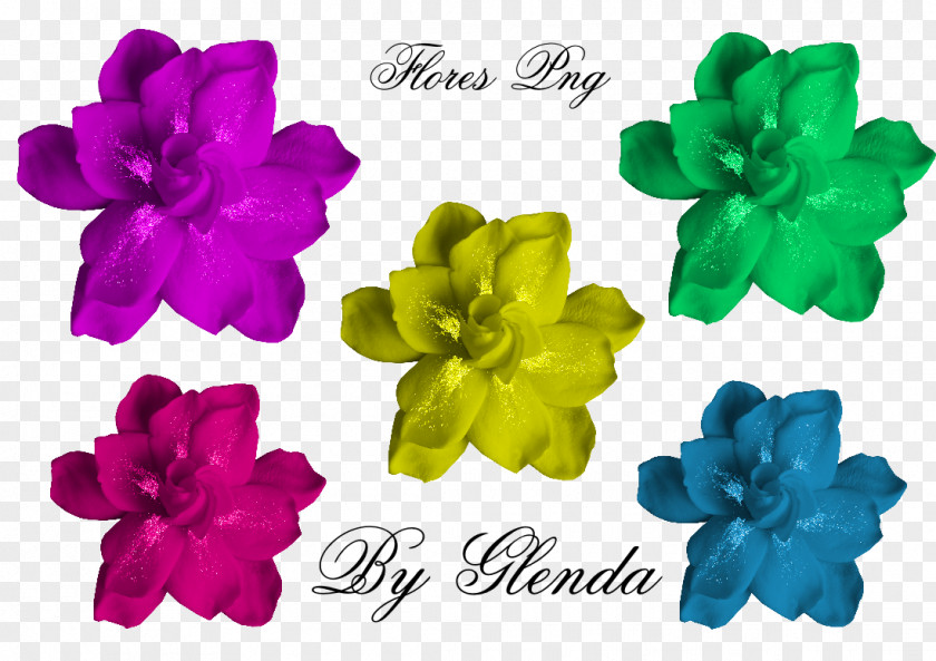 Flower Image Petal File Format PNG