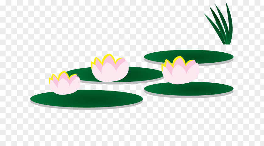 Lotus Vector Material Flower Petal Clip Art PNG