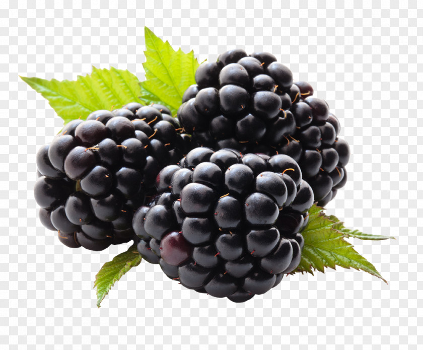 Blackberry Juice Fruit Raspberry PNG