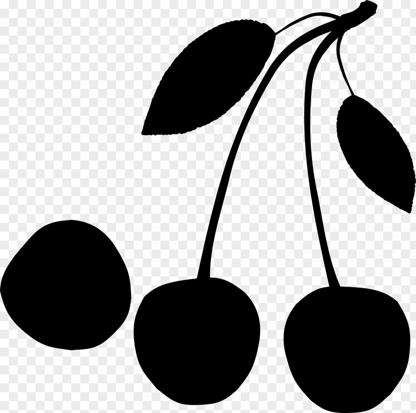 Clip Art Fruit Plant Stem Leaf Product Design PNG