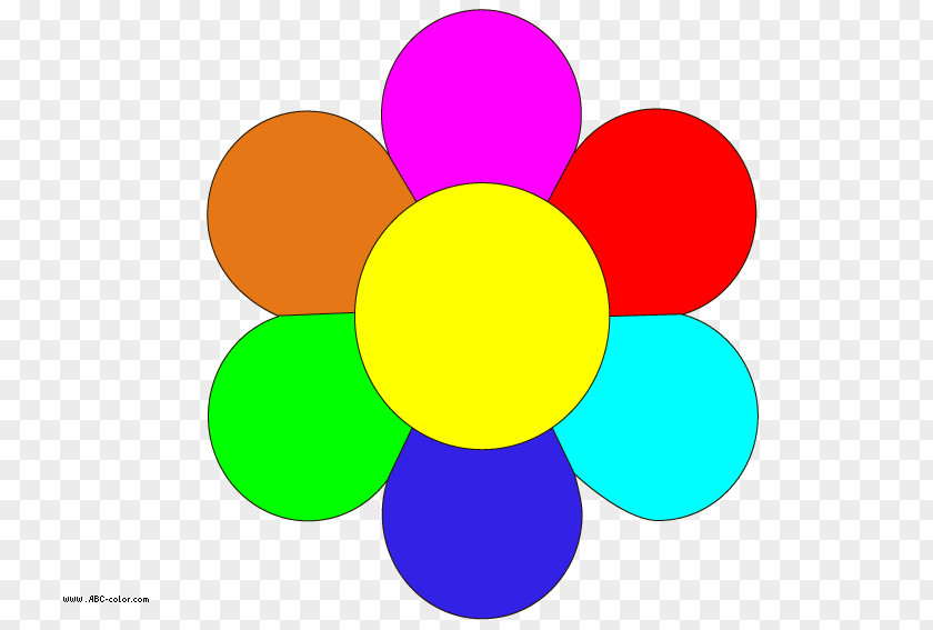 Color Sangge Flower Drawing Clip Art PNG