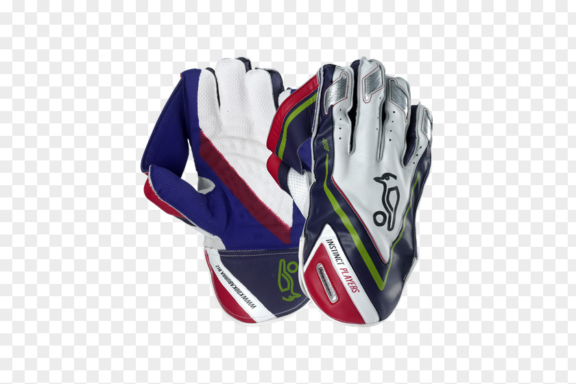 Cricket Wickets Wicket-keeper's Gloves Batting PNG