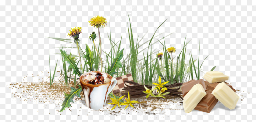 Dandelion And Chocolate Pissenlit Flower Vecteur PNG