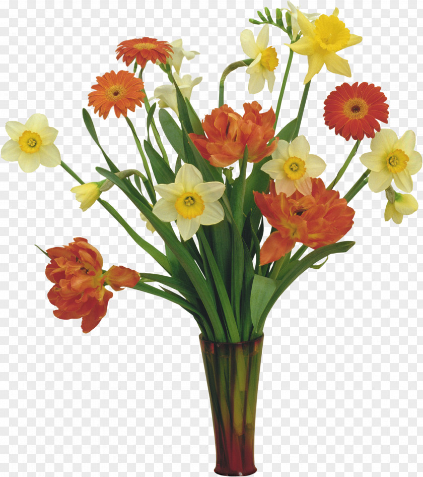 Narcissus Flower Tulip Daffodil Rose PNG