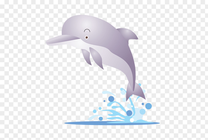 Purple Dolphin Karadag Dolphinarium Clip Art PNG