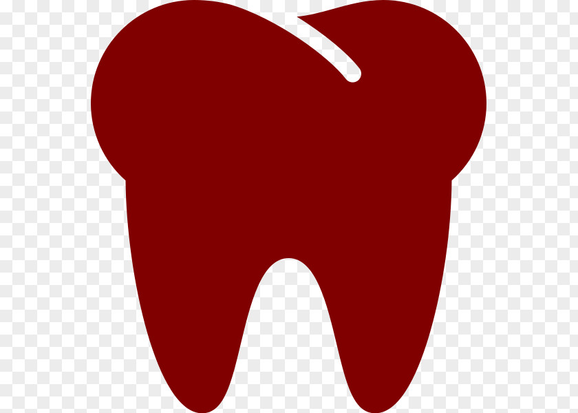 Tooth Clip Art PNG