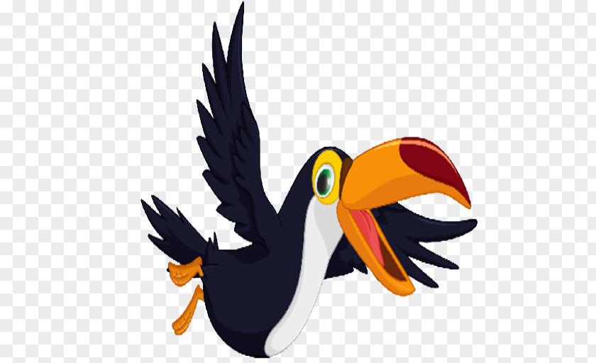 Toucan Belize Clip Art Colorful Bird Desktop Wallpaper PNG