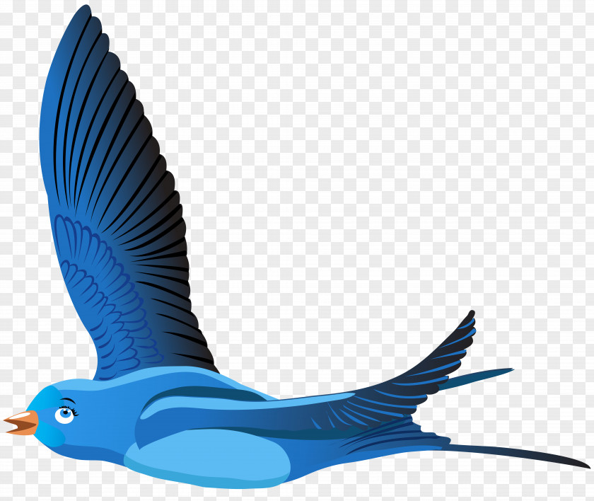 Blue Bird Cartoon Transparent Clip Art Image PNG