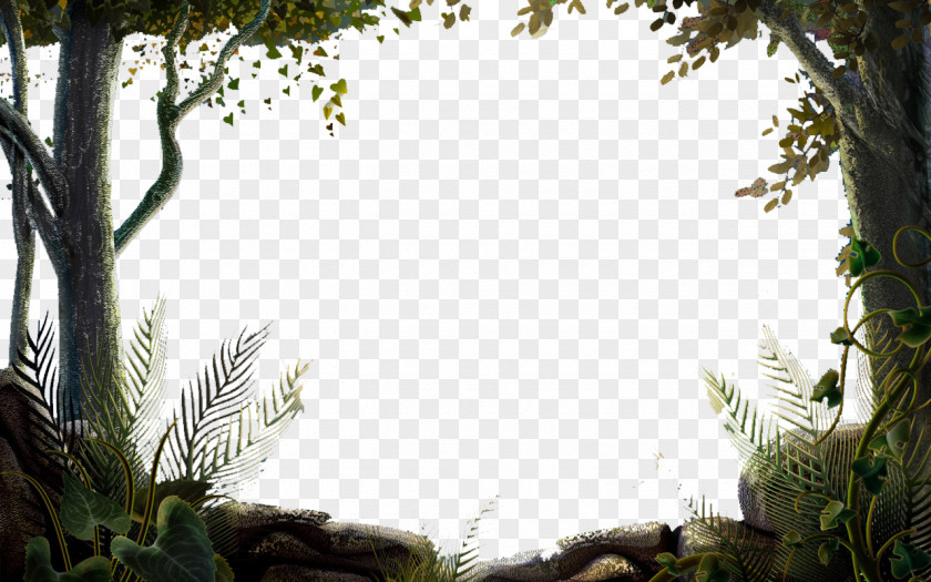 Nature Hd PNG
