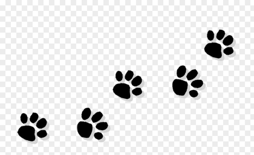 Cat Paw Bulldog Puppy Clip Art PNG