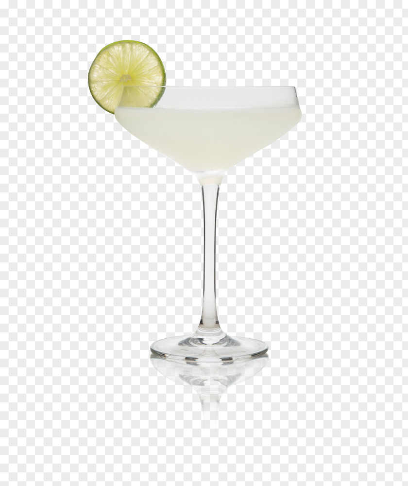 Cocktail Martini Garnish Margarita Gimlet PNG