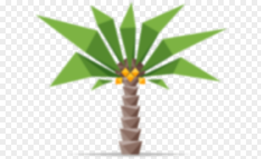 Coconut Arecaceae Tree Stock Photography PNG