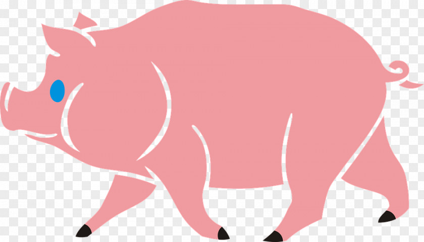 Design Domestic Pig Piglet Whiskers Clip Art PNG
