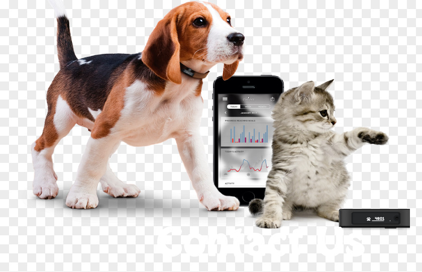 Dog GPS Navigation Systems Tracking Unit Global Positioning System Cat PNG