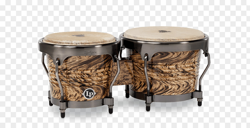 Drum Latin Percussion Bongo Conga PNG