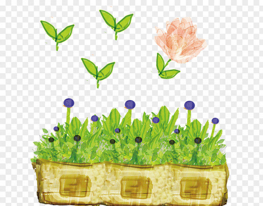 Foliage Plants Cartoon Clip Art PNG